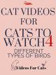Cat Videos for Cats to Watch 4 Different Types of Birds [OV]