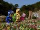 Who Is in the Flower Garden