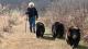 We're Going On A Bear Hike