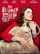 Die Blumen von gestern