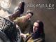 Versailles - Staffel 2 [dt./OV]