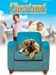 Chestnut: Der Held vom Central Park