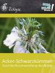 Acker-Schwarzkümmel: Geschlechtsumwandlung d. Blüten - Schulfilm Biologie