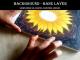 Background - Base LayerSunflower Oil Pastel Painting Lesson