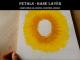 Petals - Base LayerSunflower Oil Pastel Painting Lesson