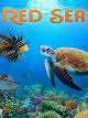 Red Sea