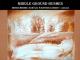 Middle ground BushesMonochrome Acrylic Painting Lesson - Lesson 6