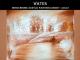 WaterMonochrome Acrylic Painting Lesson - Lesson 7