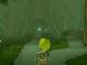 Clip: The Forbidden Woods
