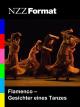 NZZ Format - Flamenco: Gesichter eines Tanzes