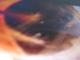 Spirit Sound Kroatien Folge 14
