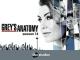 Grey's Anatomy - Season 14 [OV/OmU]