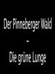 Der Pinneberger Wald - Die grüne Lunge