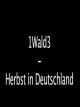 1Wald3 - Herbst in Deutschland