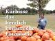 Kürbisse - das herrlich herbstliche Fotomotiv
