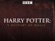 Harry Potter: A History of Magic