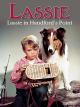 Lassie in Handford's Point