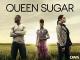 Queen Sugar: Season 1