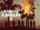 Animal Kingdom - Season 1 [OV]