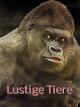 Clip: Lustige Tiere