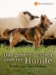 Das geheime Leben unserer Hunde - Profis auf vier Pfoten