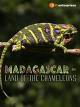 Madagascar - Land of the Chameleons