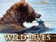Wild LivesStaffel 1