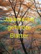 Clip: Japanische gefärbte Blätter [OV]