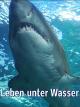 Clip: Leben unter Wasser