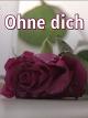 Clip: Ohne dich