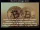Bitcoin für Anfänger lernen: Lernen SieBitcoin zu kaufen und zu verkaufen! Gewinnen Sie ein echtes Verständnis von CryptocurrencyThe BlockchainInvestingMiningTrading und Geschäfte machen mit digitalem Geld!