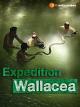 Wallacea - Expedition zur Wiege der Meeresfauna