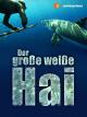Der weiße Hai - Täter oder Opfer?