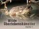 Wilde Überlebenskünstler