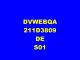 DVWEBQA 211D3809 DE S01