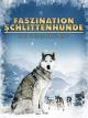 Faszination Schlittenhunde - Das große Rennen