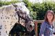Knabstrupper "Paula" / Horse-Stute "Honey"