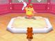 Clip: Boomerang Koopa Boss Battle