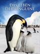 Das Leben der Pinguine