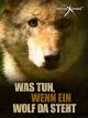 Was tunwenn ein Wolf da steht
