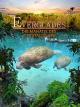 Abenteuer Everglades - Die Manatis des Crystal River