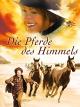Die Pferde des Himmels