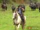 Ein Cowboy im Heimatfilm