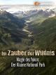 Im Zauber der Wildnis - Magie des Yukon: der Kluane National Park