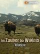 Im Zauber der Wildnis - Yellowstone