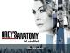 Grey's Anatomy - Staffel 14 [dt./OV]