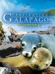 Faszination Galapagos - Südamerika