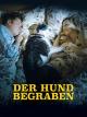 Der Hund begraben