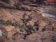 Hunting Kestodons And The Great Jagras