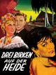 Drei Birken auf der Heide